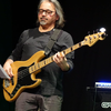 Tony Riviello