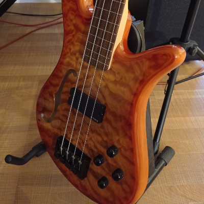 Lezioni di basso elettrico 