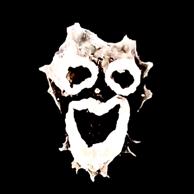 Amoeba