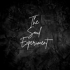 The Soul Experiment