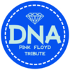 DNA Pink Floyd Tribute