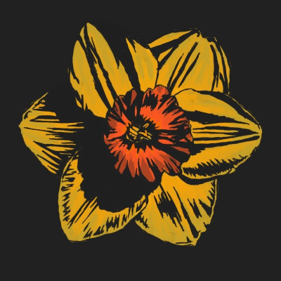 Daffodil