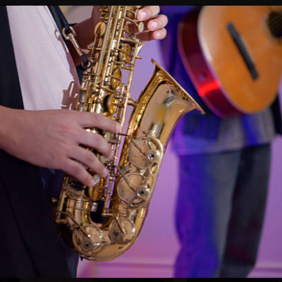 VIOLINISTA PIANO SAX VOCE friso