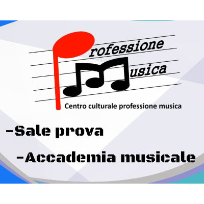 Professione Musica Cameri