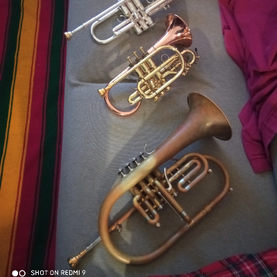 Pietro Rolando Guerini