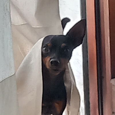 Ari / Moi