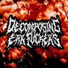 Decomposing Ear Fuckers
