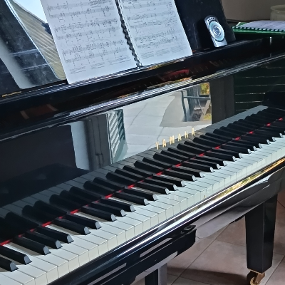 Insegnante di Pianoforte