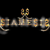 THE SIAMESIS