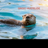 GRIGIO MUSTELIDE