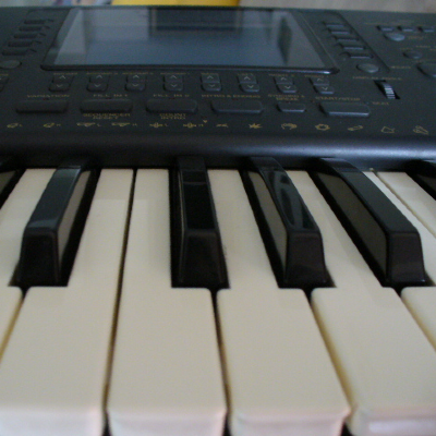 Lezioni di Pianoforte e Tastiera - Monza Sobborghi