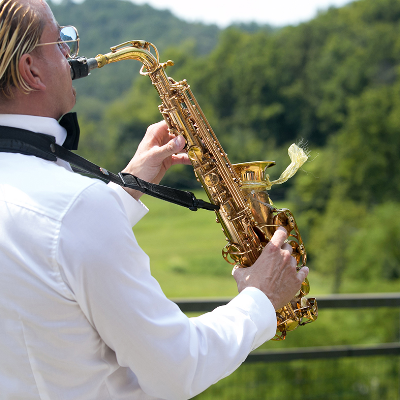 Lezioni di Sassofono,Fisarmonica,Flauto traverso,Armonica cromatica