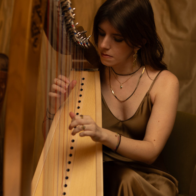 Lezioni di arpa celtica